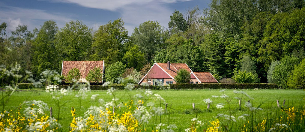 Je beleeft het bij de Scharrelhof!